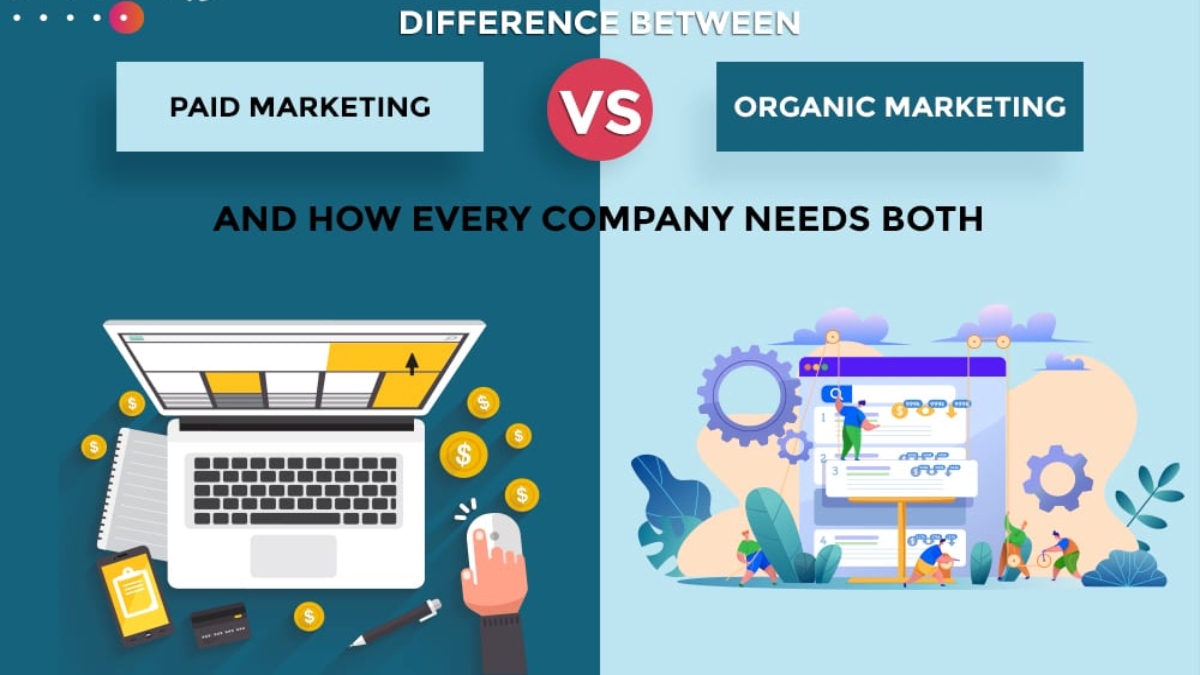 difference between organic and paid marketing